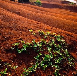 《猎天使魔女3》新视频展示解谜及挑战任务